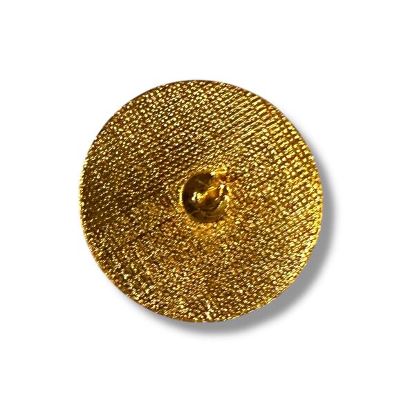 Vintage Texas Order of the Eastern Star Lapel Pin Gold Tone Blue White Enamel - Picture 4 of 6